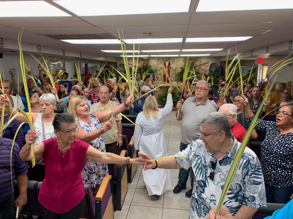 Lee más sobre el artículo Domingo de Ramos