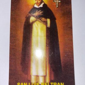 San Luis Beltran Pin